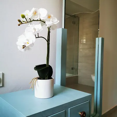 Appartement Apartma 